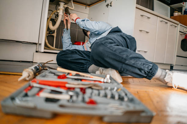 Best Drain Cleaning Services  in Palo, IA